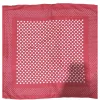 Pañuelo cuadrado pequeño de moda, Item Picture